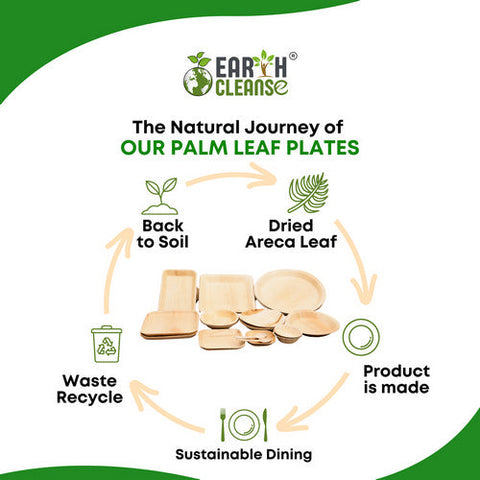 Earth Cleanse, Areca Palm Leaf Square Plates 7-Inch, Pack of 200 Earth Cleanse